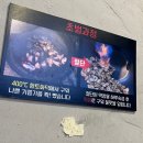 남포동막창