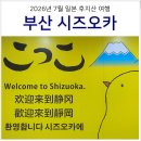 제주 투어 아울렛 | 일본 시즈오카 여행 부산 출발 7월 후지산 투어 시작 feat. 에어부산 직항