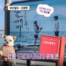 강릉 애견동반 가볼만한곳 드라마 도깨비 촬영지 주문진 영진해변 포토존