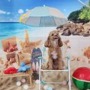 멍더가든 이미지