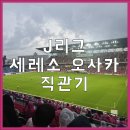 쥬빌로 - 의정부시 시민로121번길 28 | [J리그 직관하기] 세레소 오사카 홈경기 후기, 세레소 오사카 vs 주빌로 이와타 J리그 경기 직관기