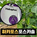 제일농약사 | 코리아아그로 "하카포스(포스카솔) 관주비료 완전정리 : 프리미엄 관주비료 수확량·품질 완전정복