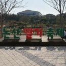 시선논산 | 2026년 논산 딸기 축제 후기 (성심당, 딸기 족욕, 딸기 보틀 주스, 먹거리 금액 등..)