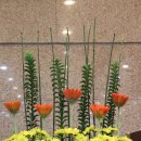 명성화원 이미지