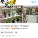써니드교대역지점