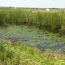 어류정낚시터 이미지