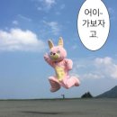 대구학생문화센터 수영장 이미지