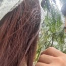 이디야카페 불로점 건너편 횡단보도 | 2박 4일(48시간) 자유여행1일차 : 미케비치 MZ카페 발견/베트남현지인밥집/다낭 벱꾸온/영흥사/리틀망고...