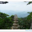 서해자동차운전학원