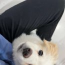 불광역9번출구 온누리약국 | 은평구 불광동 필라테스 / 바디멀티필라테스스튜디오 불광역점 / 불광동 필라추천