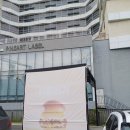 패티앤번 | 번패티번 방문후기