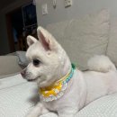 살롱드송송 이미지