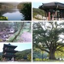 보탑사 주차장 이미지