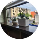 인삼성부동산중개 | 인삼성부동산중개사무소 서귀동으로 이전했어요~