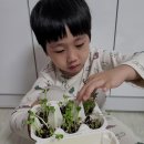 새솔반 홍은후 무순씨🌱 이미지