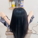 더 벨르(The Belle)