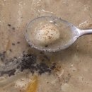 서귀포시청2청사 앞 이미지