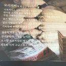 모리커피서귀포 | [내돈내산] 서귀포 모리커피 율무크림라떼 비엔나크림라떼 리뷰