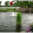 언덕위에 하얀집 이미지