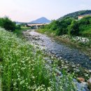 화도근린공원[창현-4] | 남양주화도마석 둘레길 6월의 꽃 개망초 황화 코스모스 배롱교 한국식자재마트