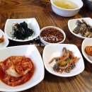 정선 현지인 맛집 월통식당 꼬막 비빔밥 후기 / 사노라면 출연