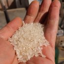 권관농장 이미지