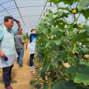 늘푸른 농장 이미지