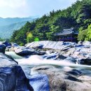 물처럼 바람처럼 이미지