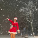 대흥철물종합건재 이미지