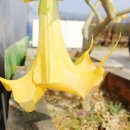 들꽃한의원 이미지