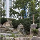 디엠케어 이미지