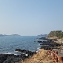 제주수월이 이미지