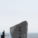 충남보령 모세의기적 신비의바닷길 이미지