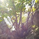 마니산(기도원) 이미지