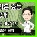 [담적보감] "담적병에좋은음식 깻잎의 놀라운 효능 6가지" 이미지