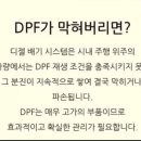 닥터카랜드 이미지