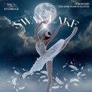 연천수레울아트홀 대공연장 이미지