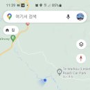 블루스프링스 이미지