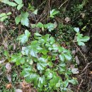 진범 농장 이미지