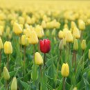 눈에띄다 이미지