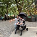 나우부품 | 잉글레시나 나우 휴대용 유모차 2개월째 사용후기 추천