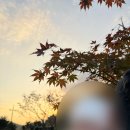 꽃씨뿌리는마음 | 양평 애견동반 독채 펜션: 꽃씨뿌리는마음