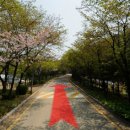 내곡동664 이미지