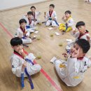 원도태권도장 이미지