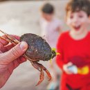 건강한 제철요리 이미지