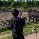파주시 징집 제1차 | 운정 미용실 단발 염색 손상모 카나토 클리닉 케어 헤르만헤어 파주 2호점 추천 후기