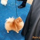 헬리우스 이미지