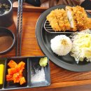 야옹이돈까스 이미지