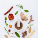 마포지금약국 이미지