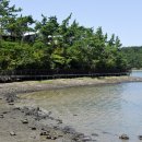 별주부전테마파크 이미지